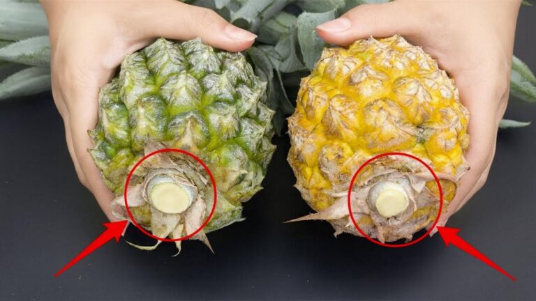 Cette vieille astuce vous révèle en un instant si l’ananas est sucré ou aigre…