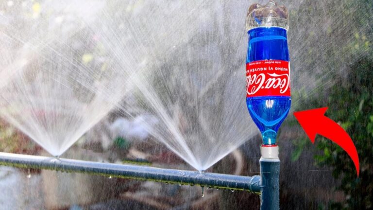 Cette astuce géniale transforme des bouteilles vides en source d’énergie… à découvrir absolument !