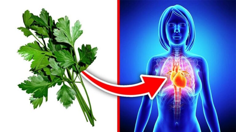 Une vieille astuce de grand-mère transforme votre potager en véritable trésor…